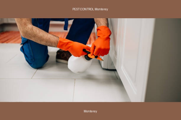 PEST CONTROL Monterey